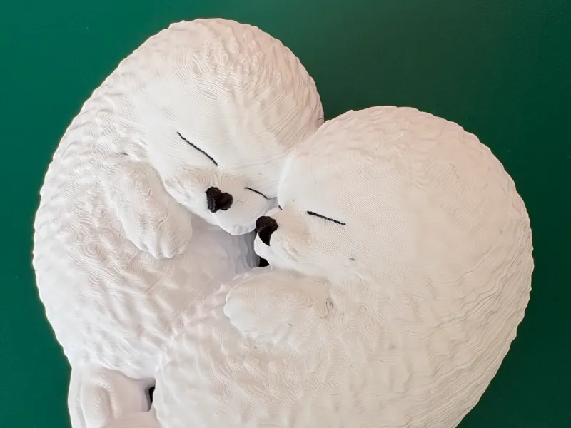 ハート形で寄り添うアザラシ(Two seals forming a heart shape)