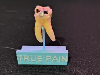 Tooth Stand