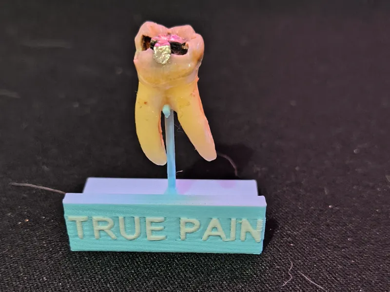 Tooth Stand