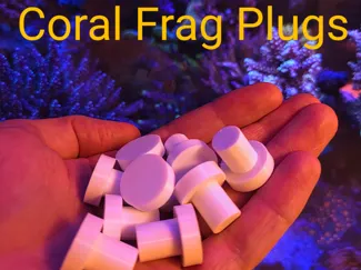 Coral Frag Plug