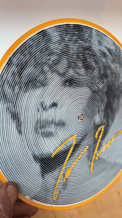 Vinyl Optical Illusion Tyna Turner