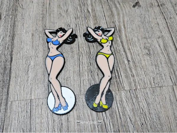 https://makerworld.bblmw.com/makerworld/model/USe9cb739c755da2/design/2025-02-07_b16cdf94ea81f.jpg