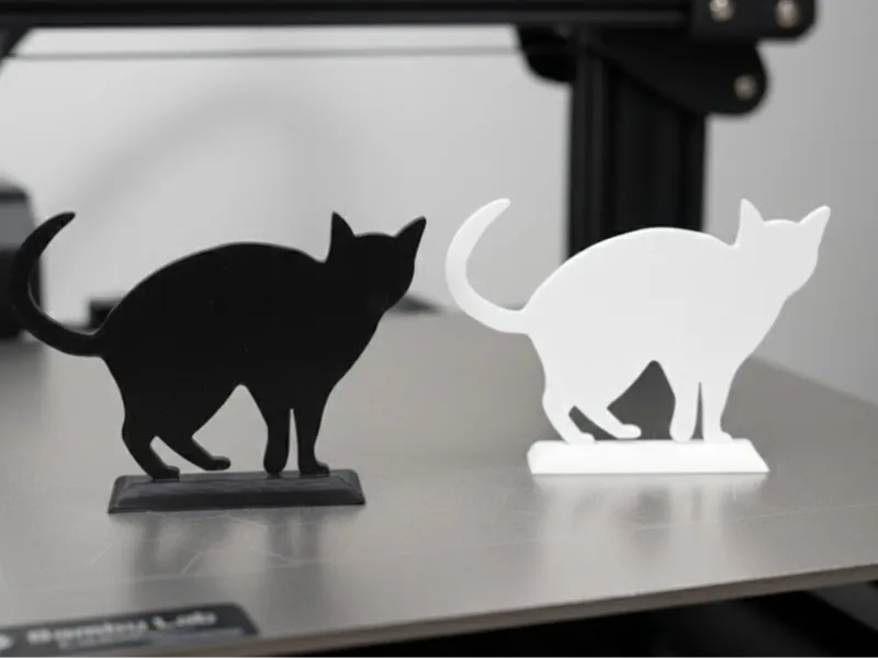 Cat display
