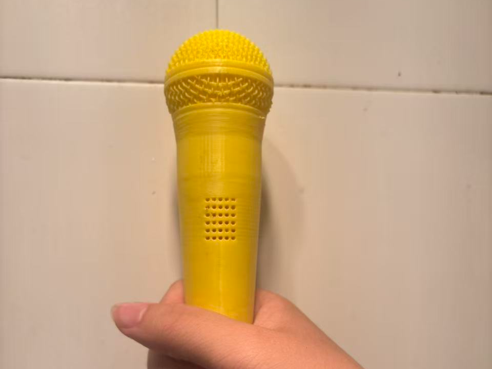 The Ultimate Shower Microphone