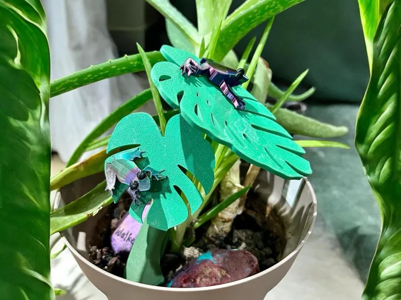 Tree Frog Plant Trellis