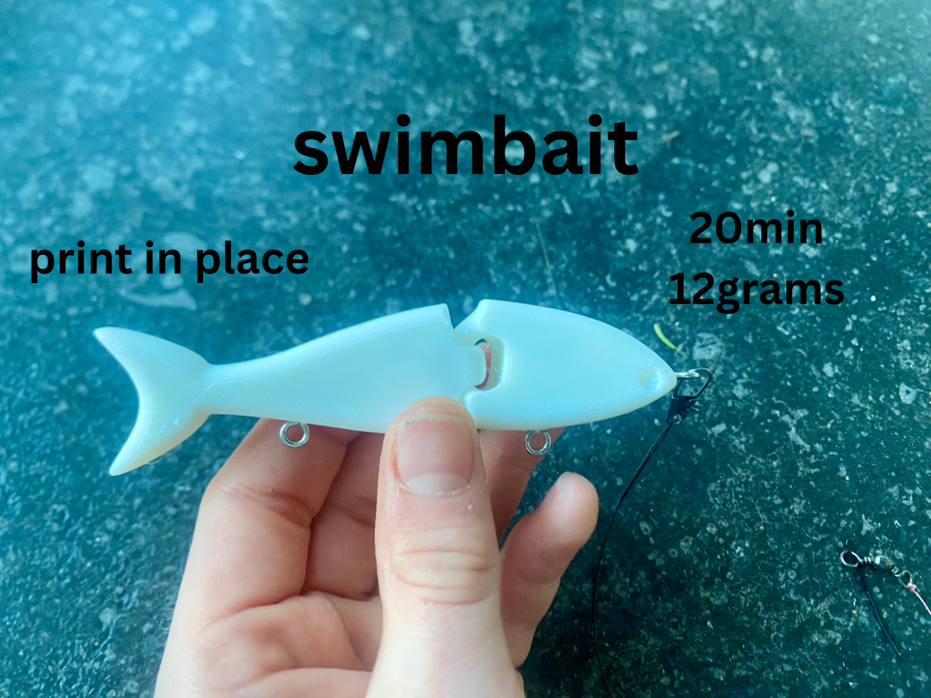 swimbait fishing lure (print in place)