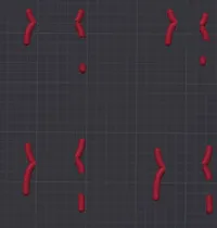 Modèle de chromosome — photo 2