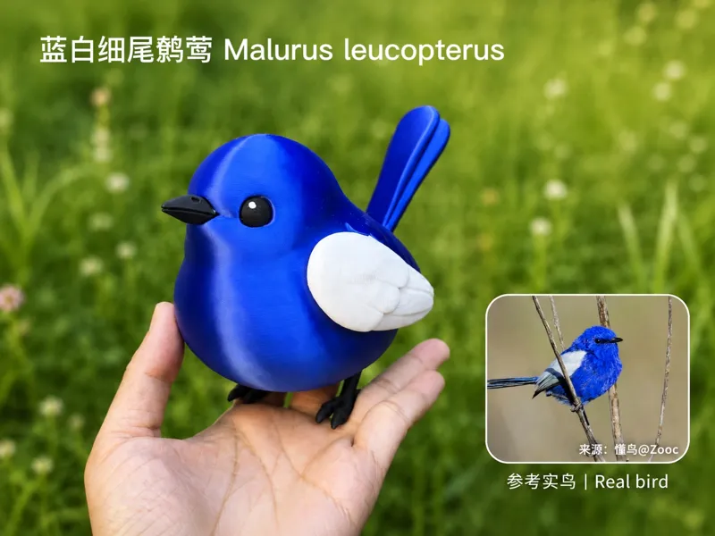 可爱小鸟模型-蓝白细尾鹩莺