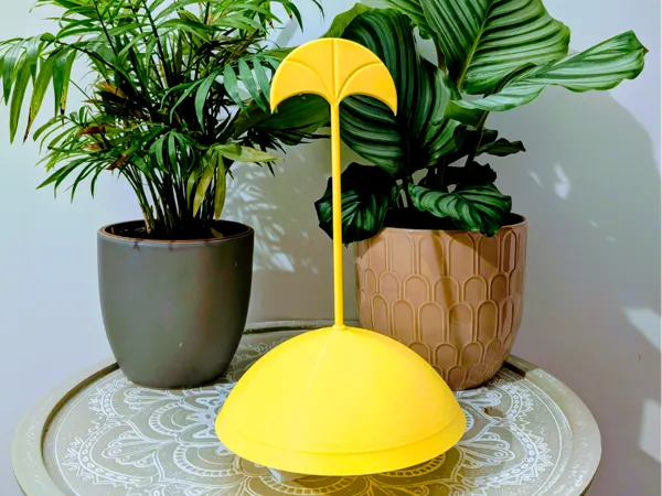 https://makerworld.bblmw.com/makerworld/model/USe9dc425bac4e96/design/2025-07-04_544a7a71912438.jpg