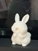 Bunny yawning