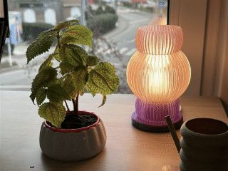 Dumpling Planter