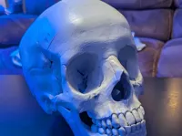 0.12mm layer, 2 walls, 15% infill