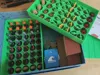 0.2mm layer, 3 walls, 15% infill