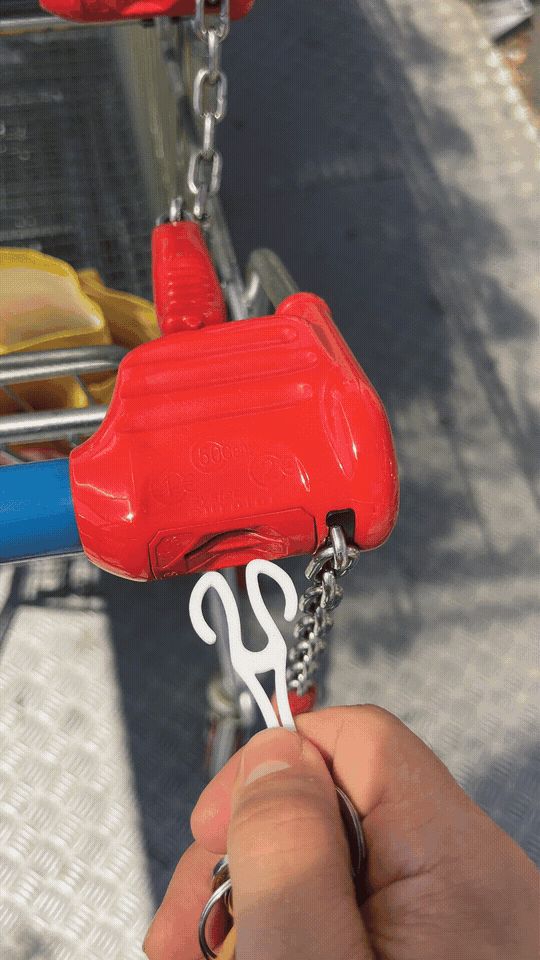 Universal Shopping Cart Coin Key