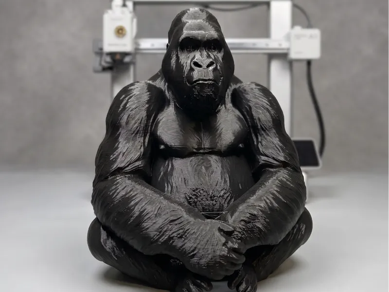 Gorilla 