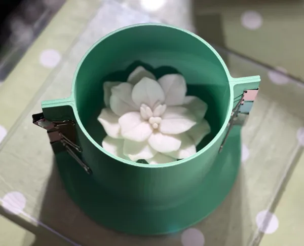 https://makerworld.bblmw.com/makerworld/model/USe9e39dd8def135/design/2025-01-10_3f652c15ff61c.jpg