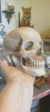 0.24mm layer, 2 walls, 15% infill