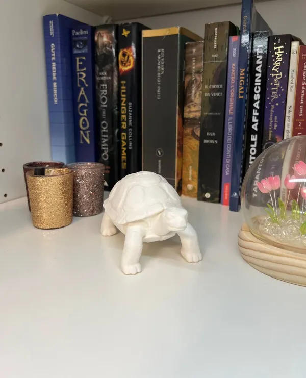 https://makerworld.bblmw.com/makerworld/model/USe9ea599b5f68e5/design/2024-11-29_a98dbfdf195c6.jpg