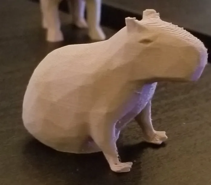 Polygon Capybara
