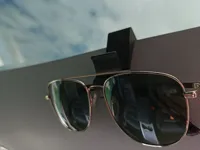 Sunglasses Hook