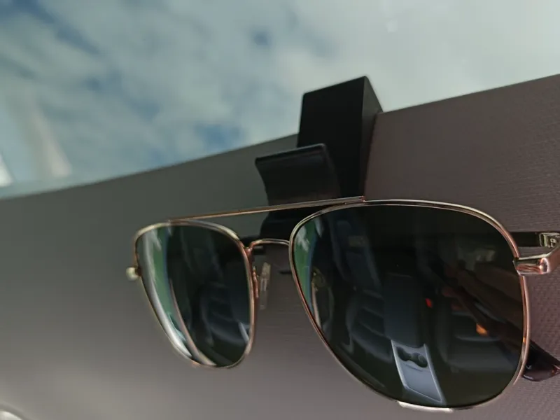 Tesla Sunglasses Hook