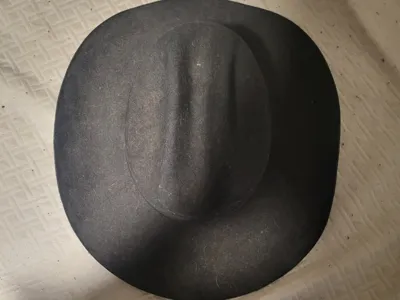 cowboy hat for P1S