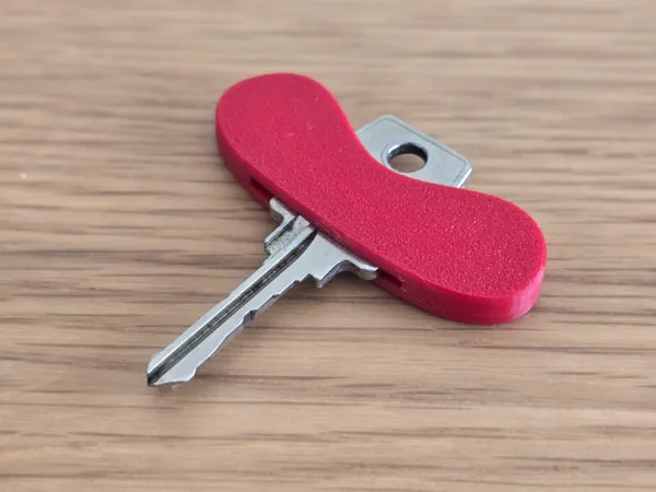 https://makerworld.bblmw.com/makerworld/model/USe9f6e544619c10/design/2025-08-07_e3913040283f38.jpg
