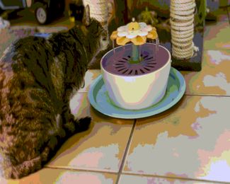 Cat fountain, Pet