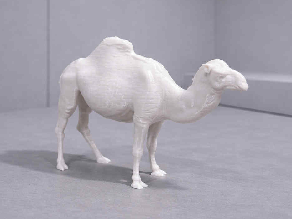 Dromedary - Arabian Camel - Animal