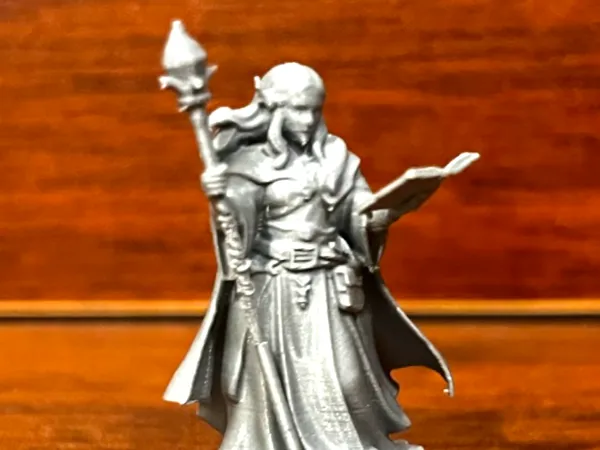 https://makerworld.bblmw.com/makerworld/model/USe9fb5ce1b98f2d/design/b63cba902433fc01.png