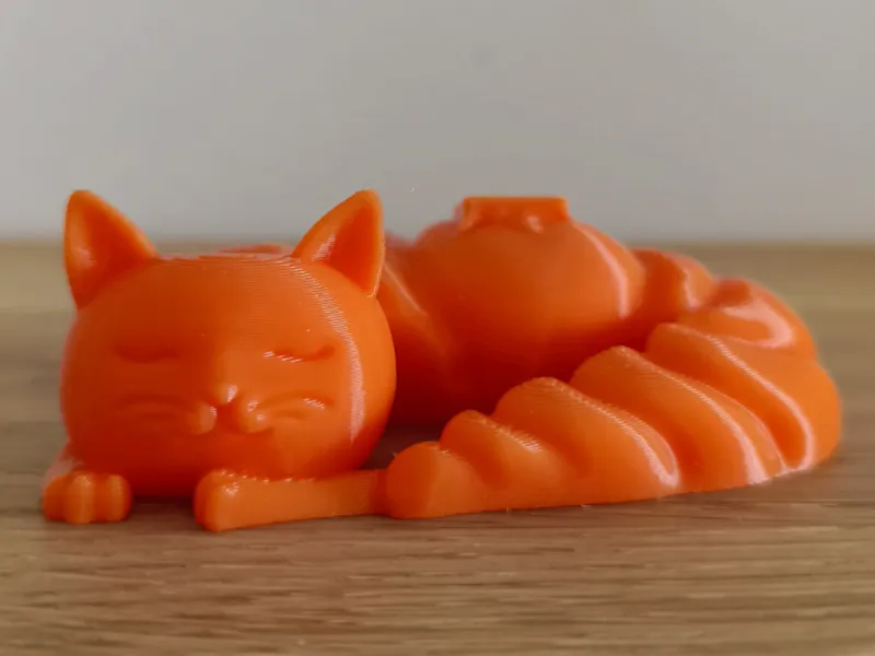 Croissant Cat