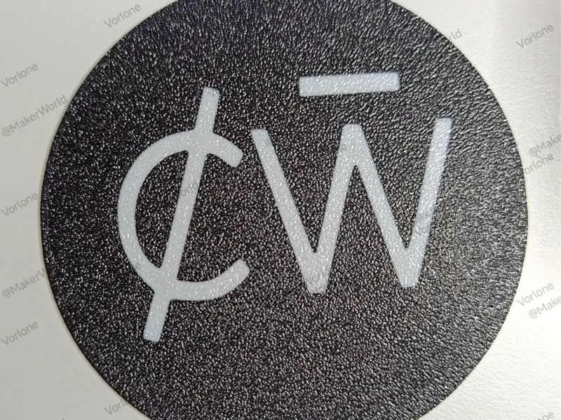 Charlotte de Witte Coaster