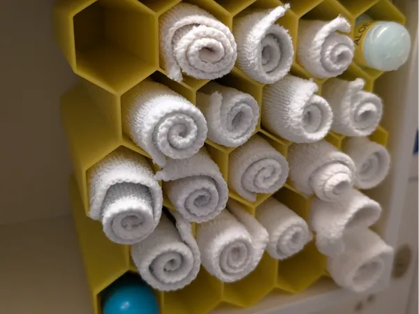 https://makerworld.bblmw.com/makerworld/model/USea036dcc065e21/design/2024-12-12_399c8de2b72c1.jpg