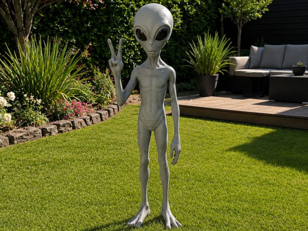 Figurine Alien – Gardien Extraterrestre - 1