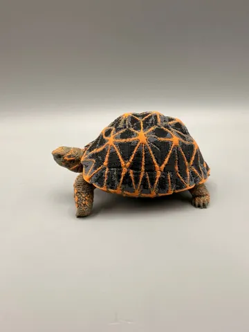 Adorno temático: Star Tortoise — vista de referencia 5