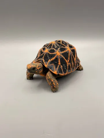 Adorno temático: Star Tortoise — vista de referencia 4