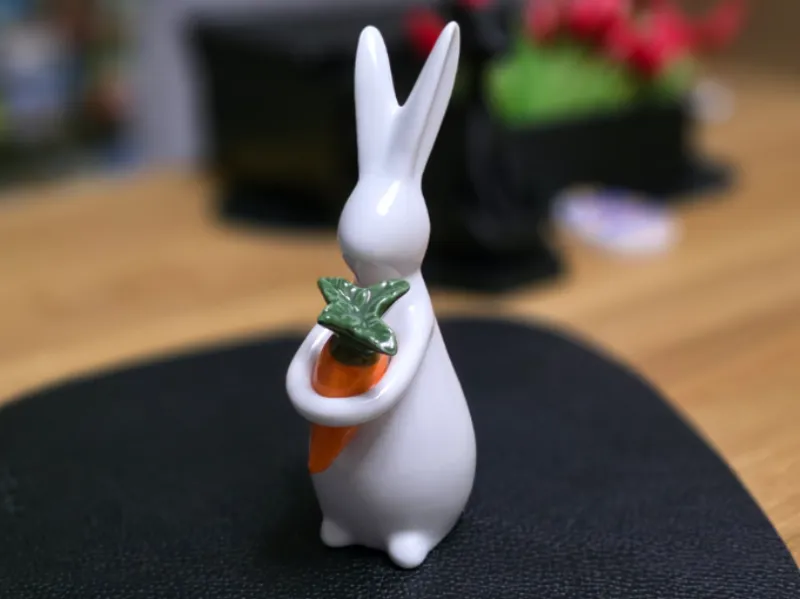 Easter Bunny Rabbit with carrot :)