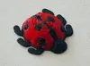 Mini ladybug