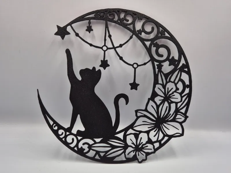 GATTINO SOTTO LE STELLE