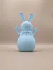 Rabbit with inscription