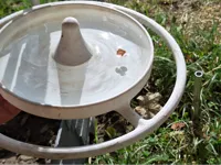 Simple Bird Water Bowl for Your Garden