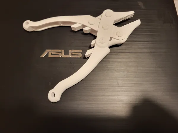 https://makerworld.bblmw.com/makerworld/model/USea158541aa15f6/design/2025-01-19_fdad55a91e0c8.jpg