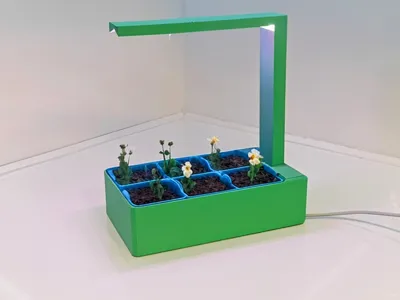Glow Garden