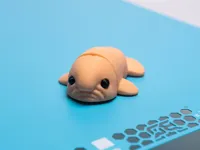 BlobFish Multicolor