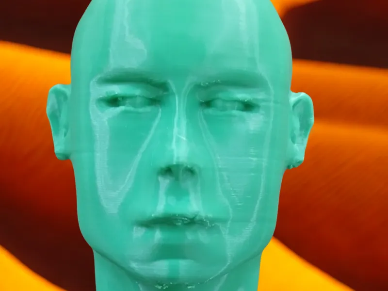 Bald Sculpted Head Model