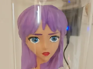 buste de Saori kido