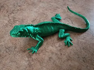 Lizard