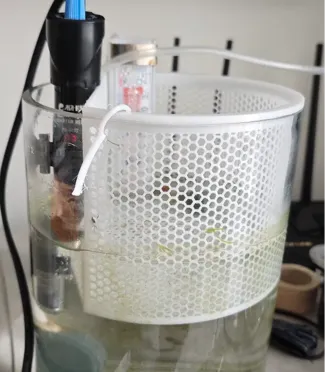 圆形鱼缸鱼苗繁殖隔离盒