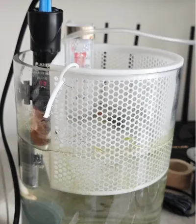 Circular Fish Tank Fry Breeding Isolation Box