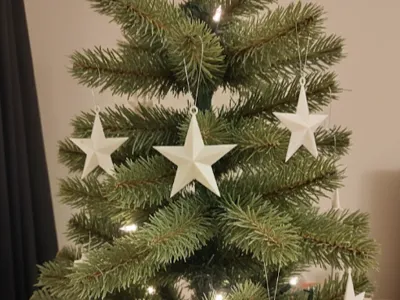 Christmas Star